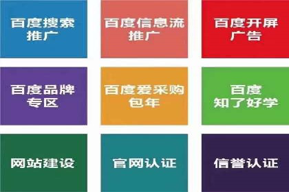 某电商平台的SEM策略与效果展示